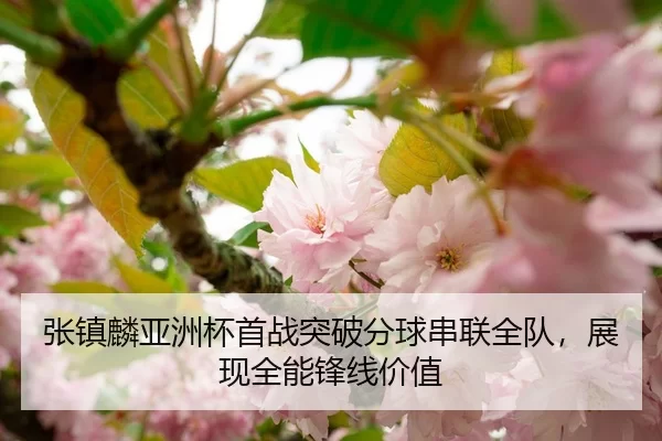 张镇麟亚洲杯首战突破分球串联全队，展现全能锋线价值