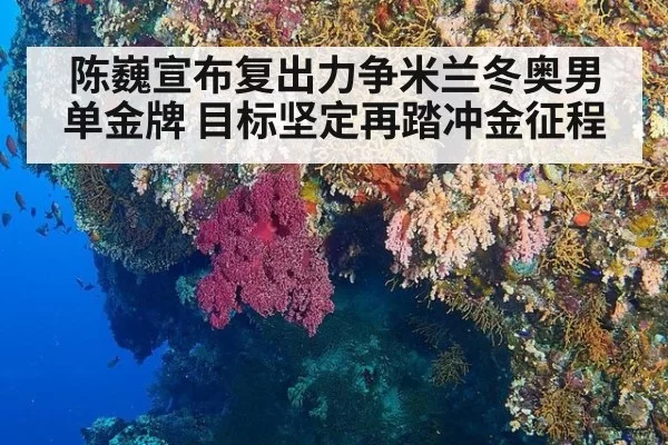陈巍宣布复出力争米兰冬奥男单金牌 目标坚定再踏冲金征程